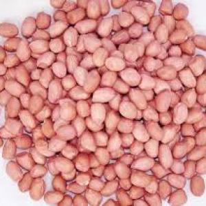 有衣花生 NATURAL PEANUT, 5LBX6